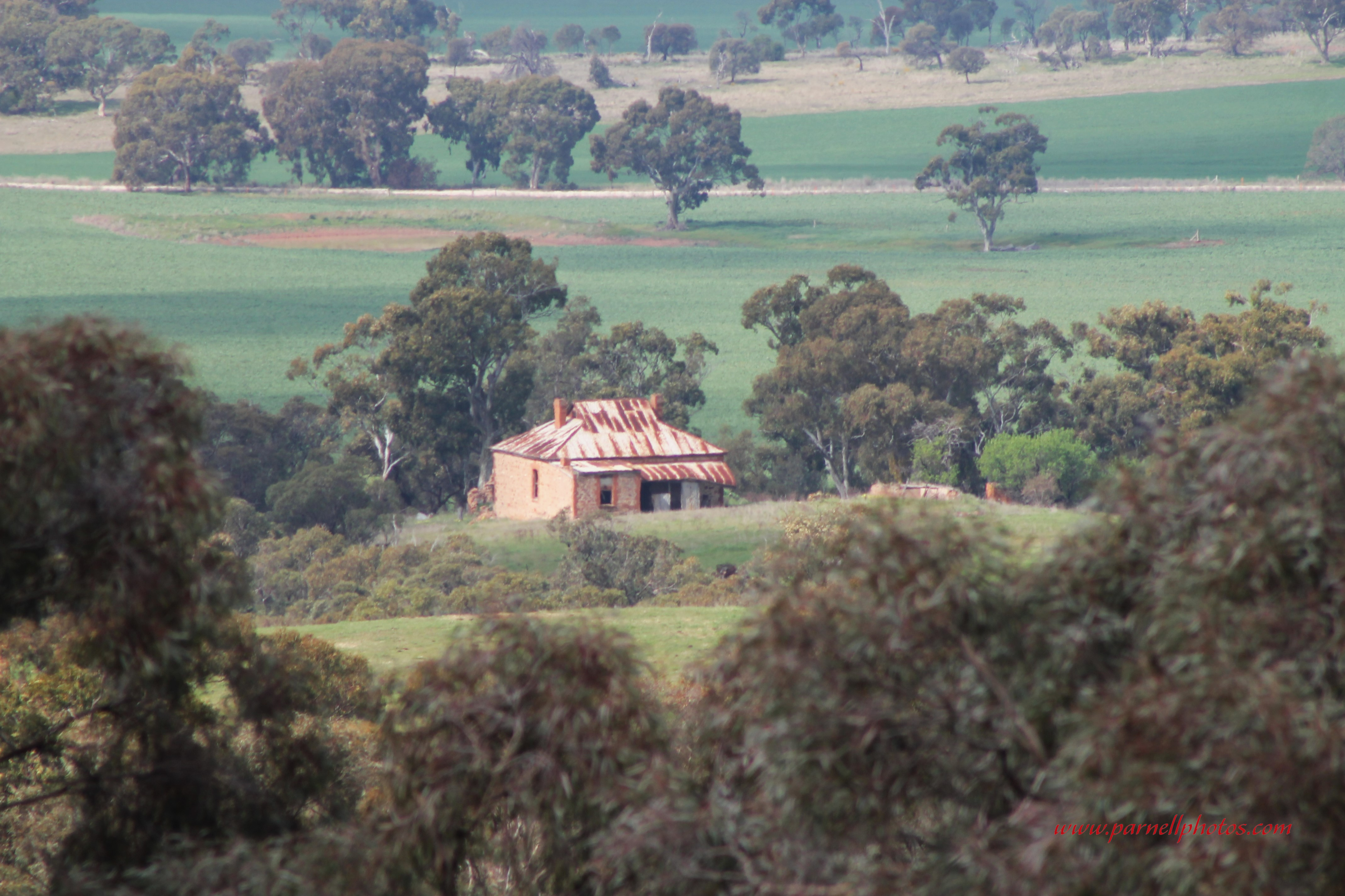 Old House Among Trees