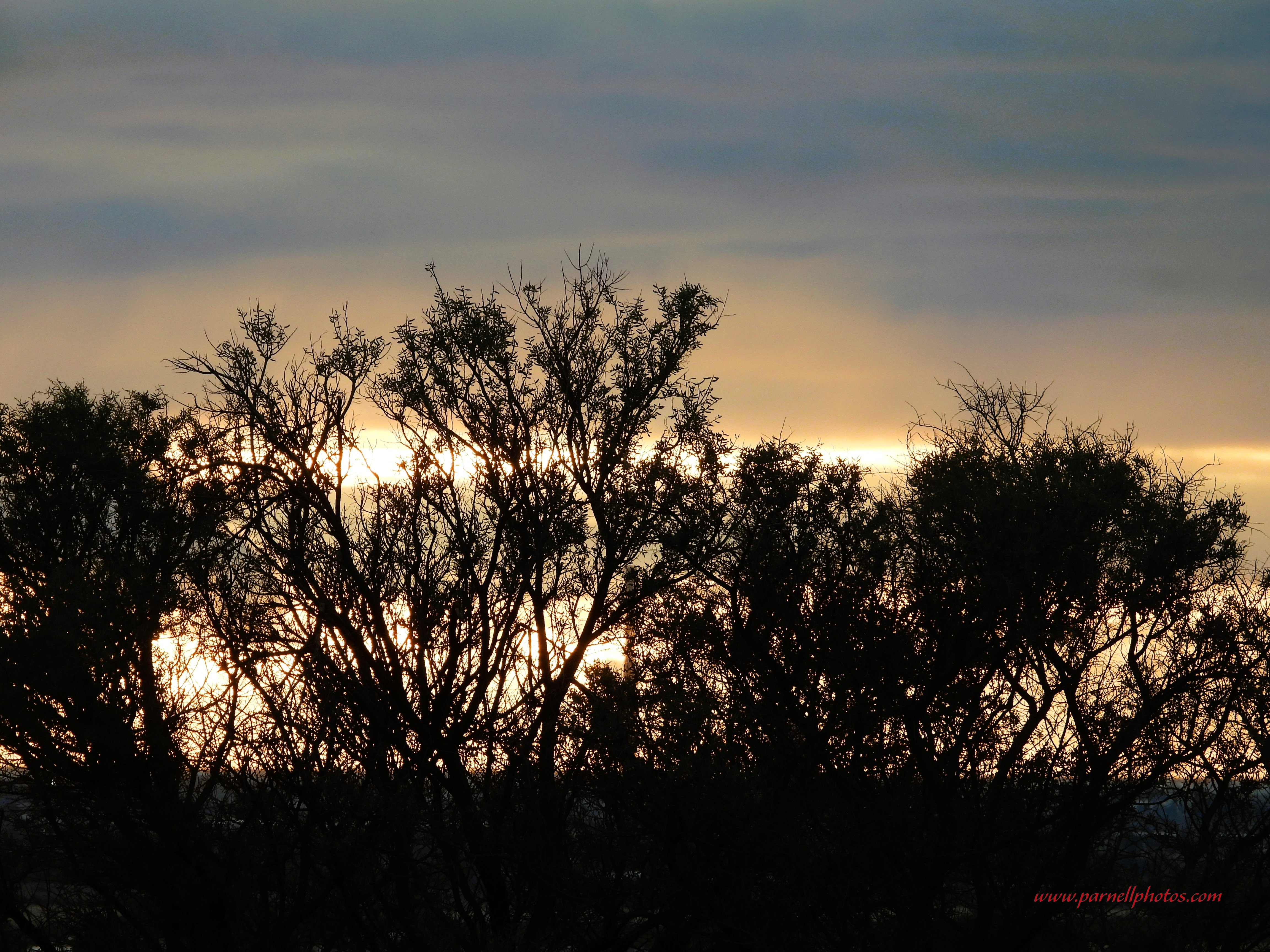 Cloudy Winter Sunset