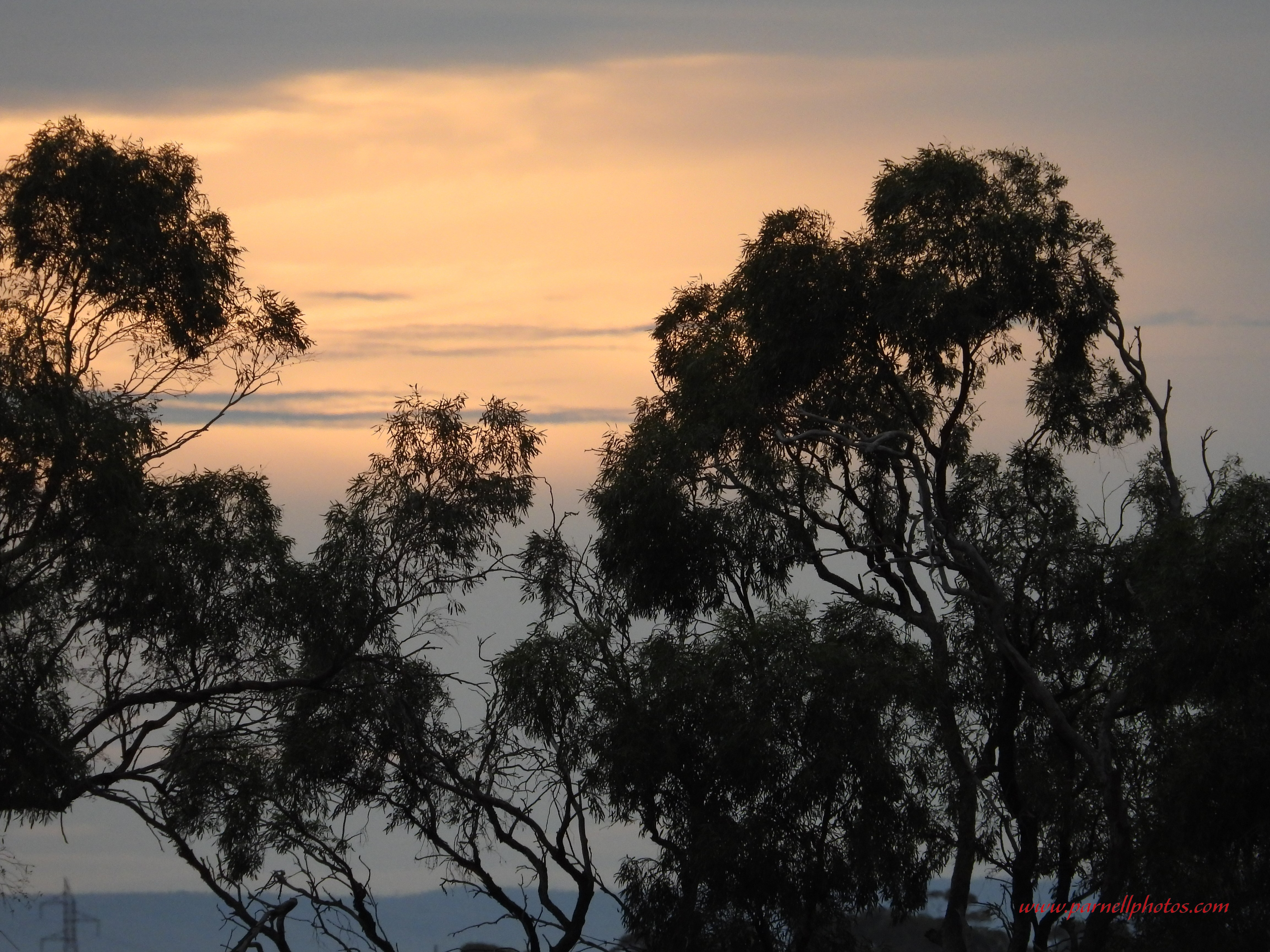 Evening Setting Sun