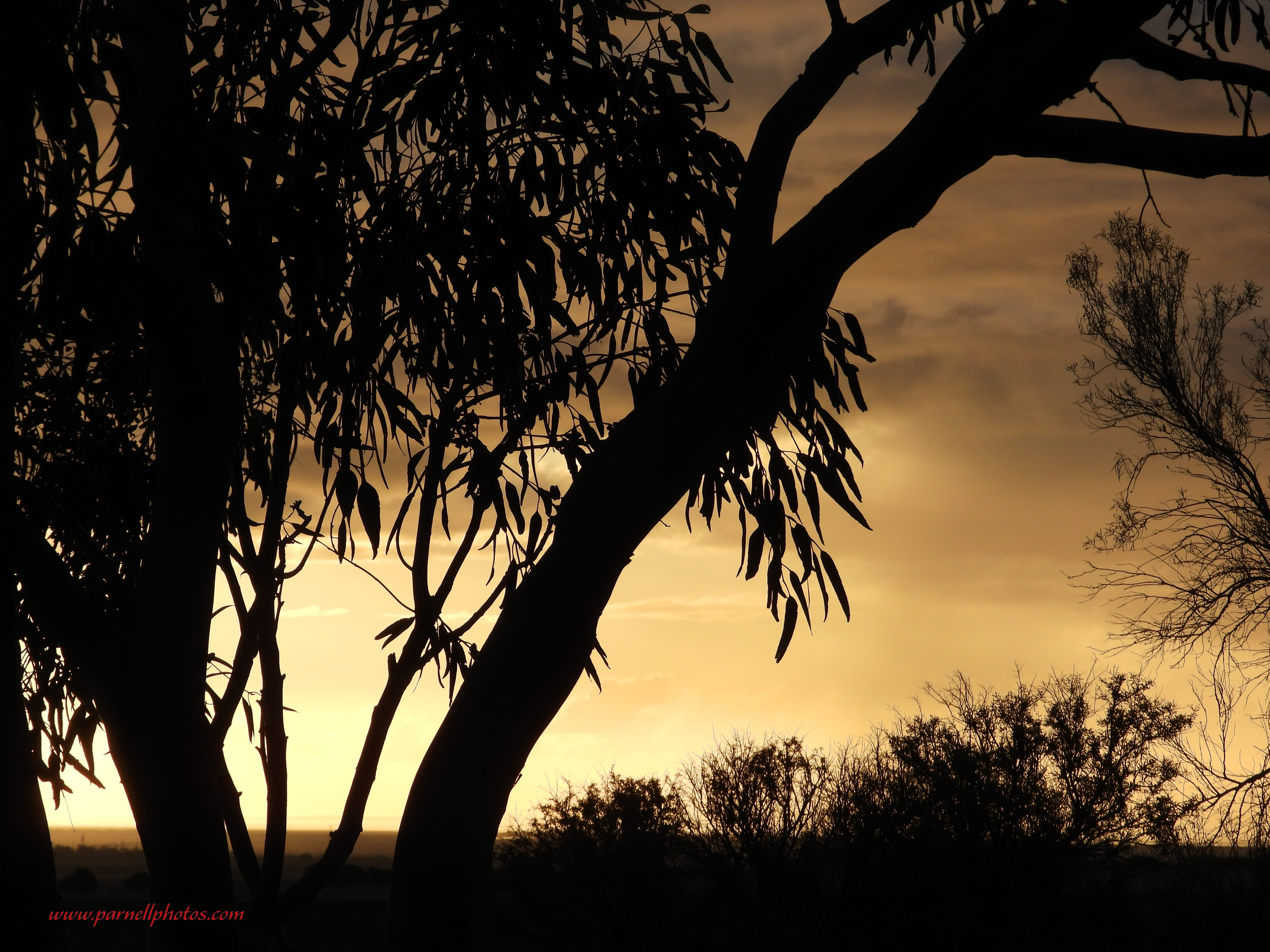 Golden Sunset Sky