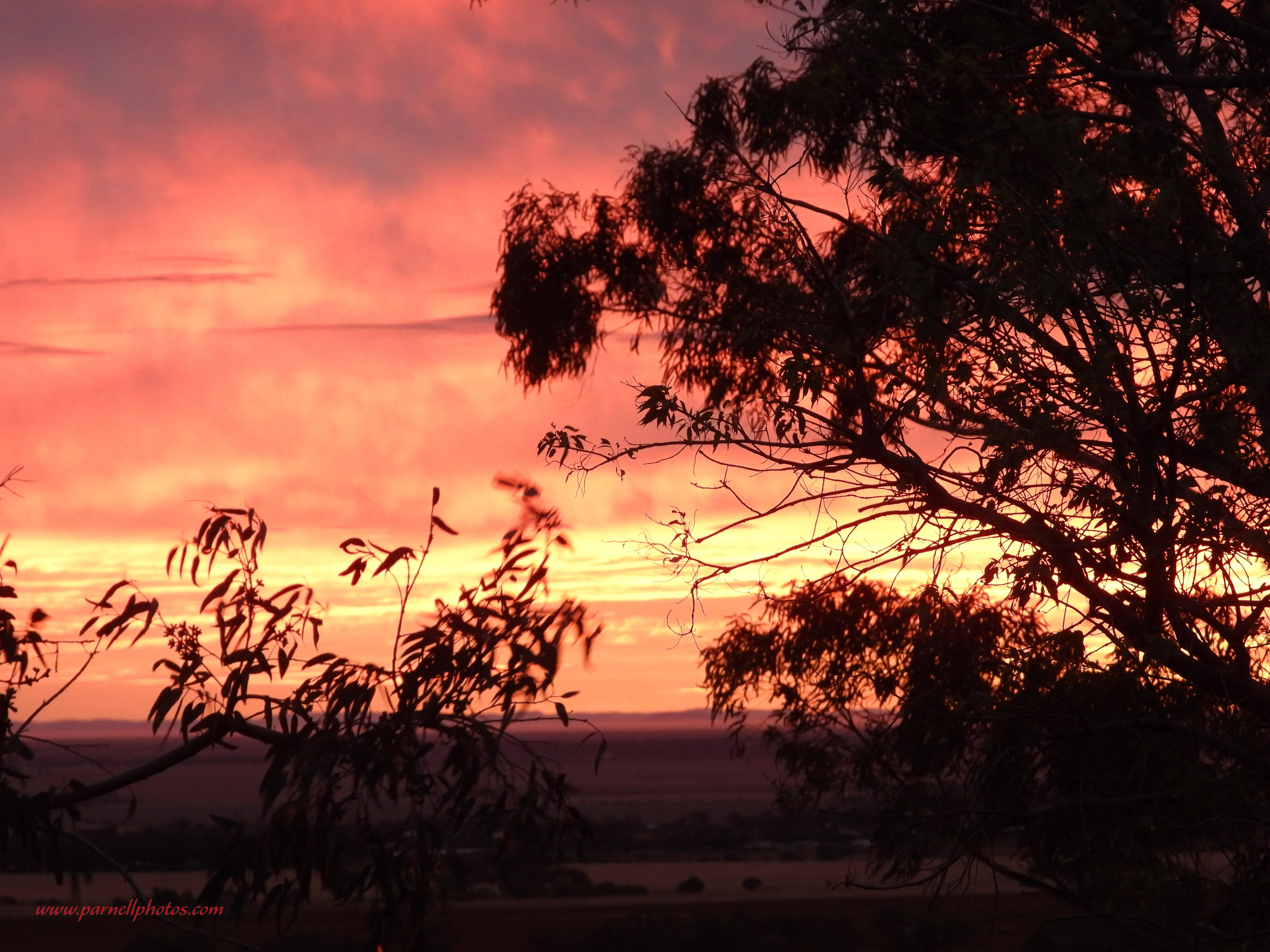 Pink Evening Sky