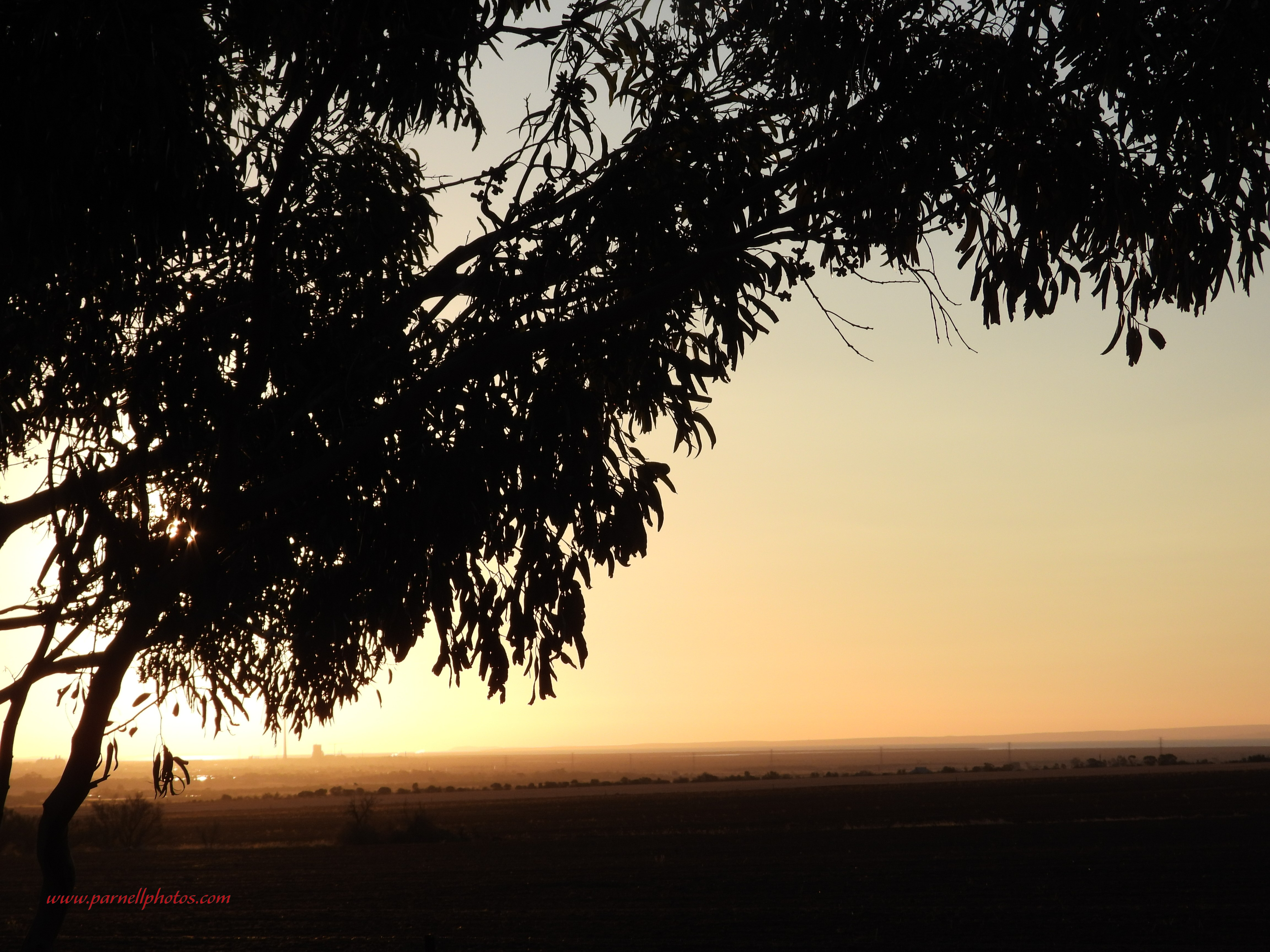 Yellow Sky at Sunset